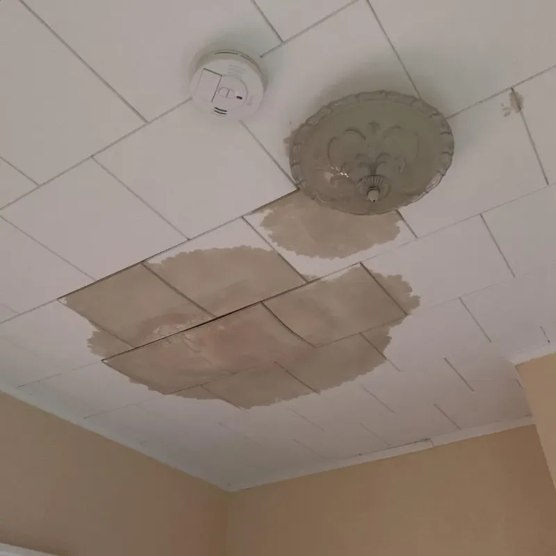 Ceiling Water Damage Repair in Durham, NC