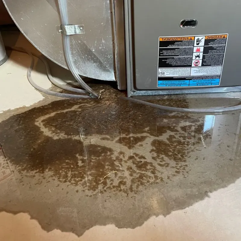 Pipe Burst and Leak Restoration in Durham, NC