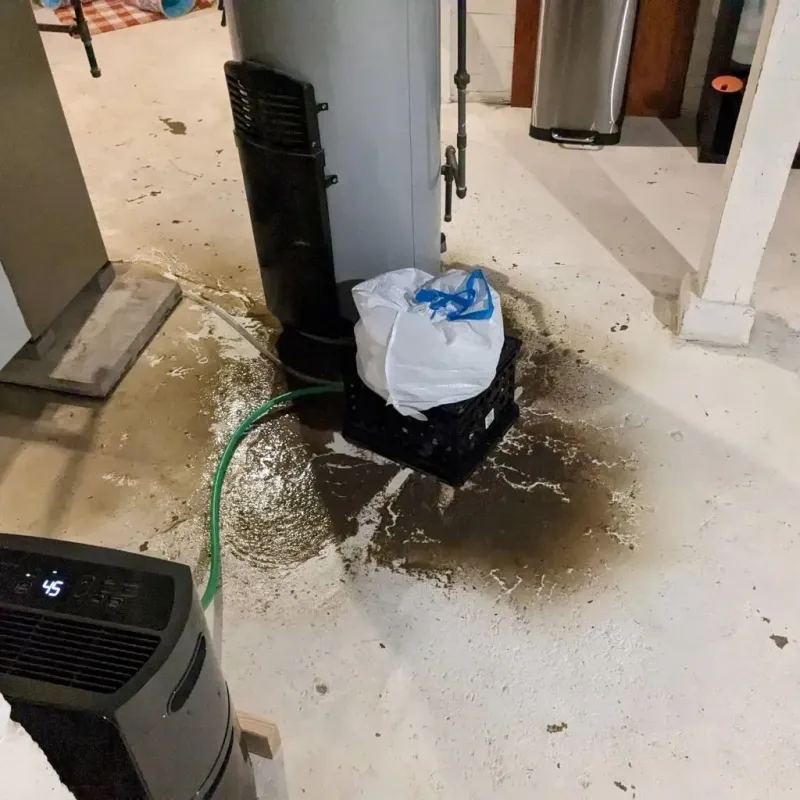 Sewage Backup Cleanup Service in Durham, NC